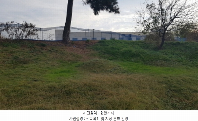 2024타경4382 경기도 평택시 지제동 산53 임야 경매 이미지