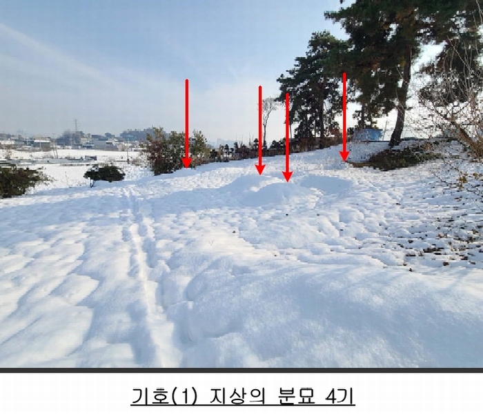 2024타경4382 경기도 평택시 지제동 산53 임야 경매 이미지