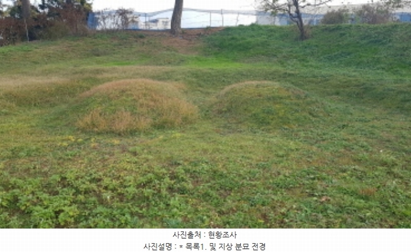 2024타경4382 경기도 평택시 지제동 산53 임야 경매 이미지