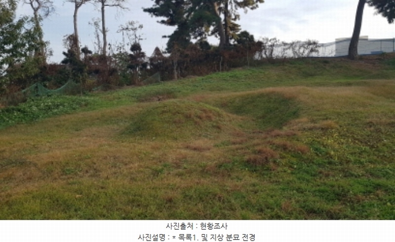 2024타경4382 경기도 평택시 지제동 산53 임야 경매 이미지