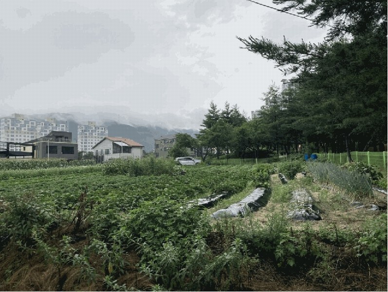 2025타경134 충청북도 제천시 왕암동 910 대지 경매 이미지