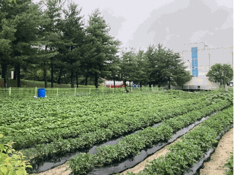 2025타경134 충청북도 제천시 왕암동 910 대지 경매 이미지