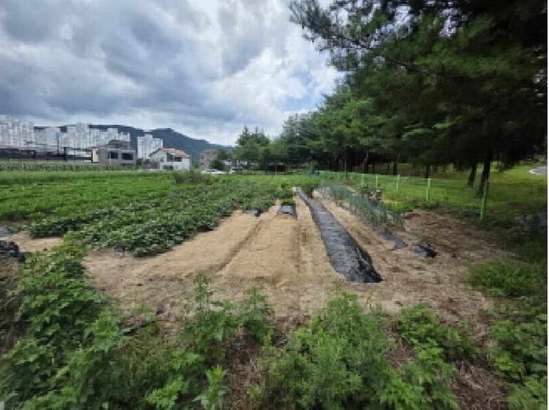 2025타경134 충청북도 제천시 왕암동 910 대지 경매 이미지