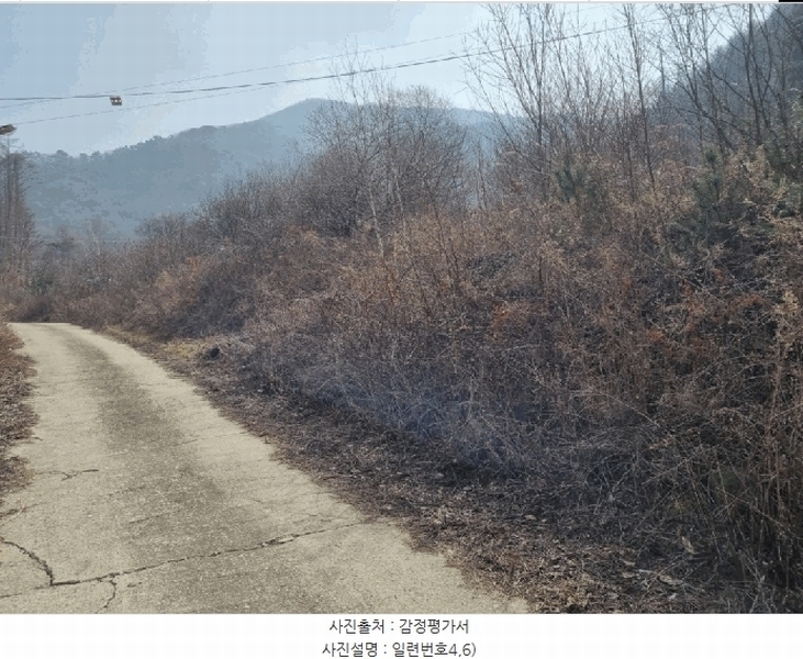 2025타경356 강원특별자치도 평창군 방림면 방림리 96 농지 경매 이미지