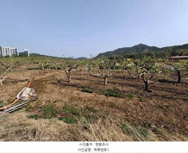 2025타경627 경상남도 사천시 정동면 고읍리 605-69 농지 경매 이미지