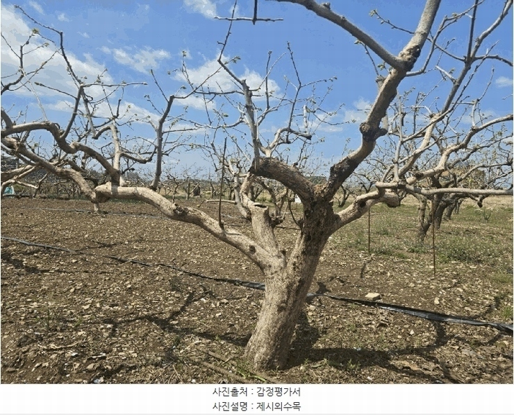 2025타경627 경상남도 사천시 정동면 고읍리 605-69 농지 경매 이미지