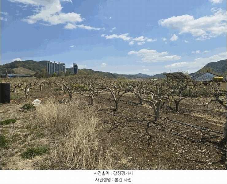 2025타경627 경상남도 사천시 정동면 고읍리 605-69 농지 경매 이미지