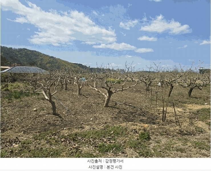 2025타경627 경상남도 사천시 정동면 고읍리 605-69 농지 경매 이미지
