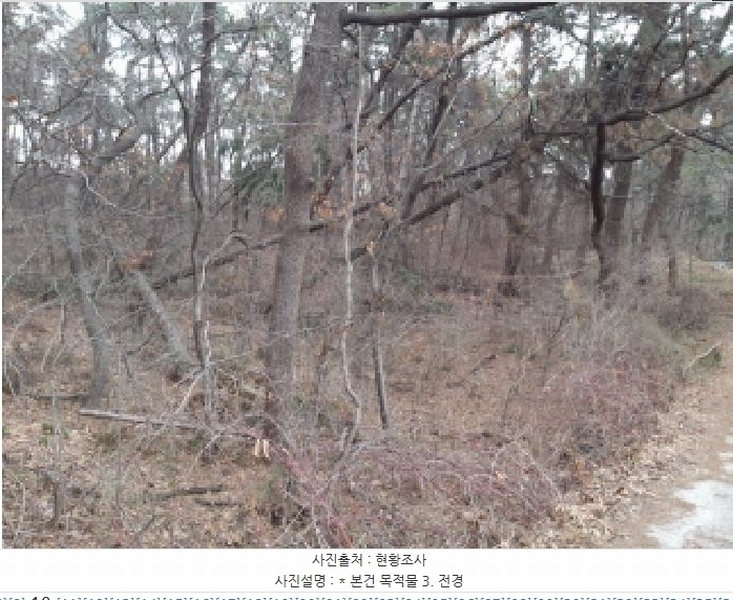 2025타경41005 경기도 평택시 현덕면 기산리 산37-1 임야 경매 이미지