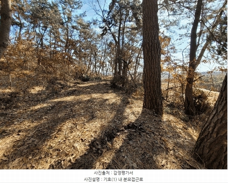 2025타경41005 경기도 평택시 현덕면 기산리 산37-1 임야 경매 이미지