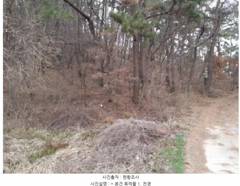 2025타경41005 경기도 평택시 현덕면 기산리 산37-1 임야 경매 이미지