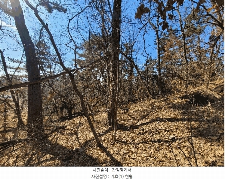 2025타경41005 경기도 평택시 현덕면 기산리 산37-1 임야 경매 이미지