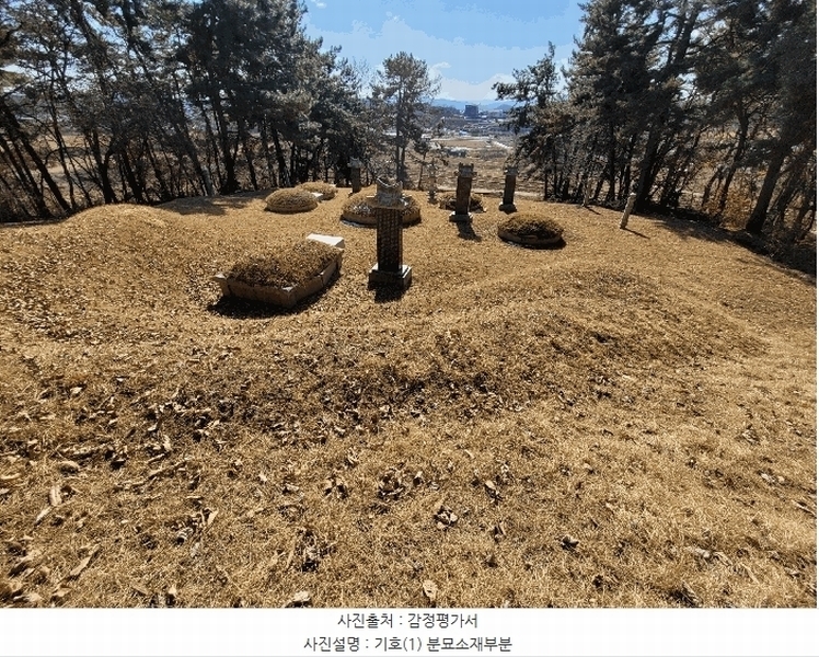 2025타경41005 경기도 평택시 현덕면 기산리 산37-1 임야 경매 이미지
