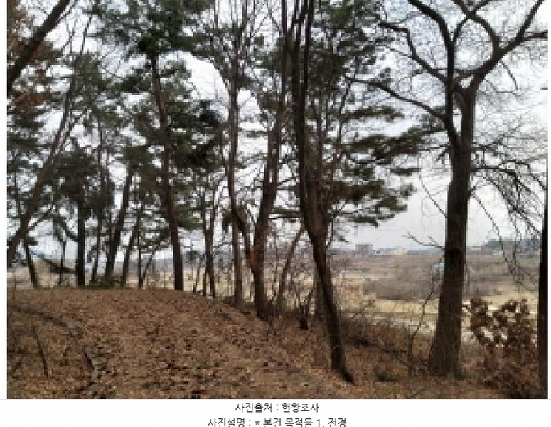 2025타경41005 경기도 평택시 현덕면 기산리 산37-1 임야 경매 이미지