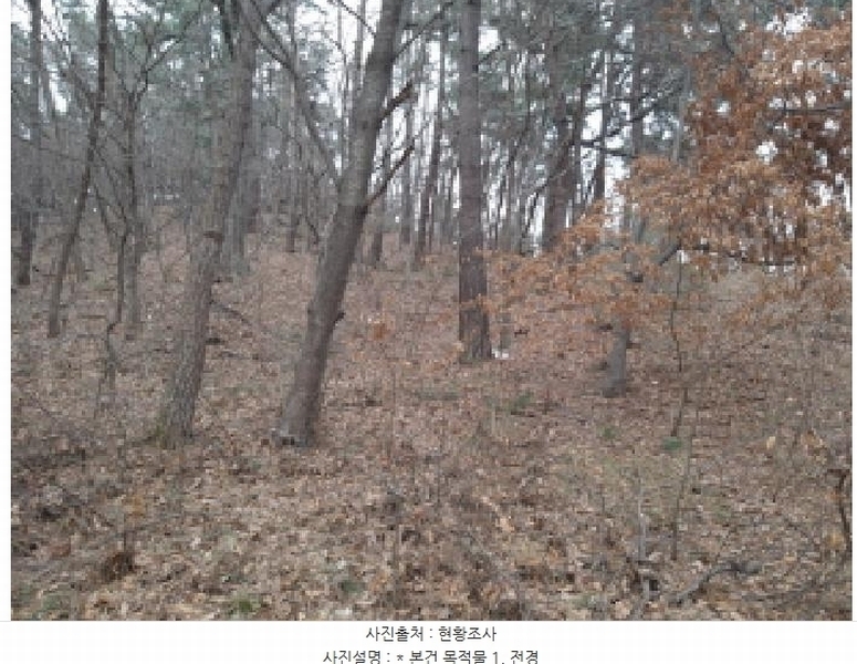 2025타경41005 경기도 평택시 현덕면 기산리 산37-1 임야 경매 이미지