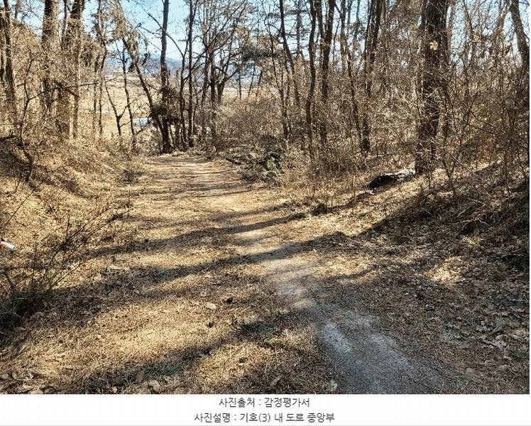 2025타경41005 경기도 평택시 현덕면 기산리 산37-1 임야 경매 이미지