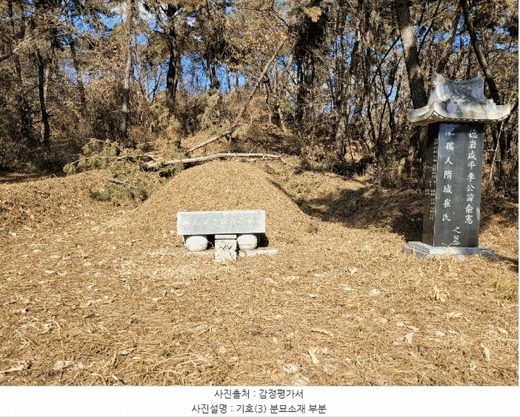 2025타경41005 경기도 평택시 현덕면 기산리 산37-1 임야 경매 이미지