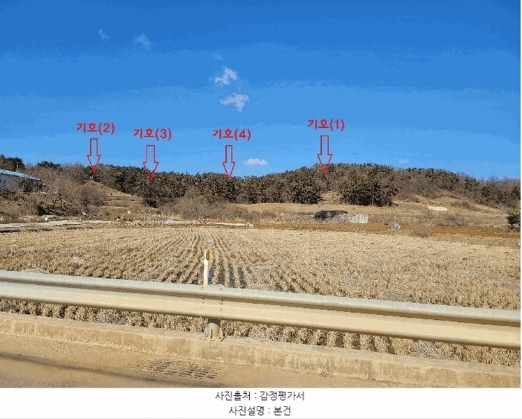 2025타경41005 경기도 평택시 현덕면 기산리 산37-1 임야 경매 이미지