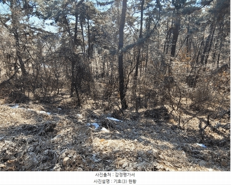 2025타경41005 경기도 평택시 현덕면 기산리 산37-1 임야 경매 이미지