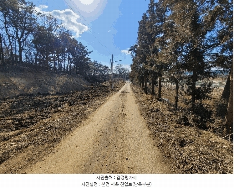2025타경41005 경기도 평택시 현덕면 기산리 산37-1 임야 경매 이미지