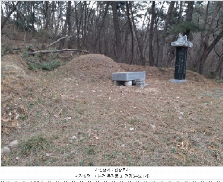 2025타경41005 경기도 평택시 현덕면 기산리 산37-1 임야 경매 이미지