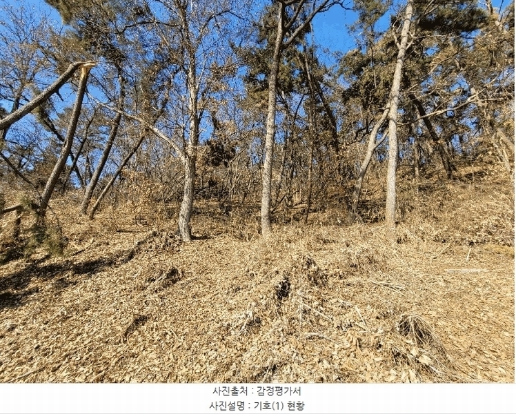 2025타경41005 경기도 평택시 현덕면 기산리 산37-1 임야 경매 이미지
