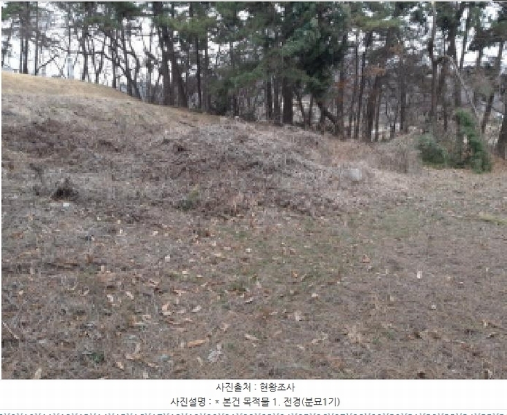 2025타경41005 경기도 평택시 현덕면 기산리 산37-1 임야 경매 이미지