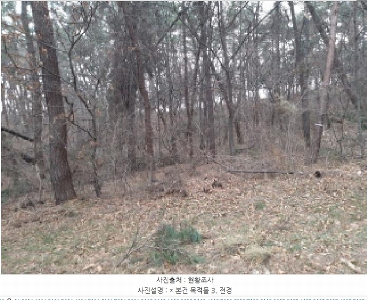 2025타경41005 경기도 평택시 현덕면 기산리 산37-1 임야 경매 이미지