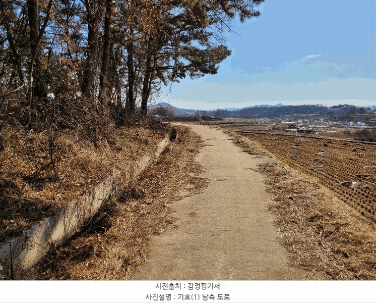 2025타경41005 경기도 평택시 현덕면 기산리 산37-1 임야 경매 이미지