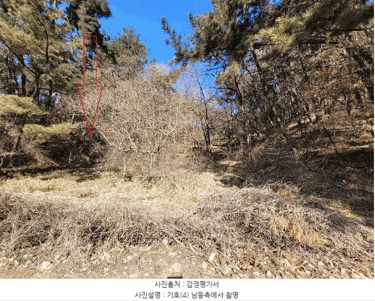 2025타경41005 경기도 평택시 현덕면 기산리 산37-1 임야 경매 이미지