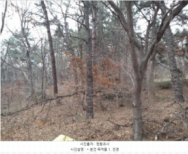 2025타경41005 경기도 평택시 현덕면 기산리 산37-1 임야 경매 이미지