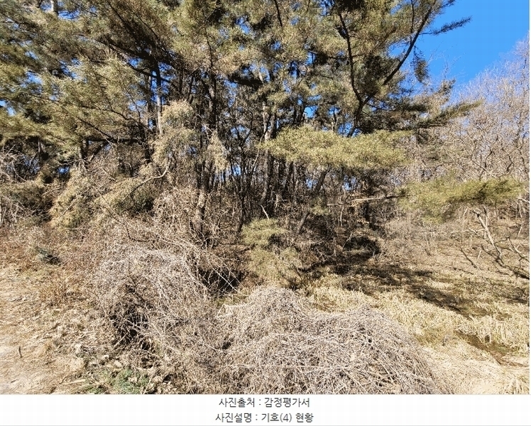 2025타경41005 경기도 평택시 현덕면 기산리 산37-1 임야 경매 이미지