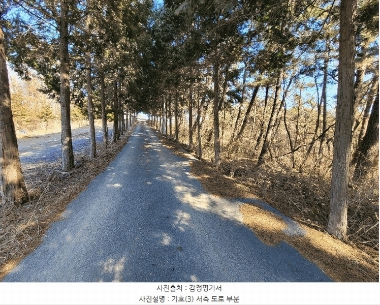 2025타경41005 경기도 평택시 현덕면 기산리 산37-1 임야 경매 이미지