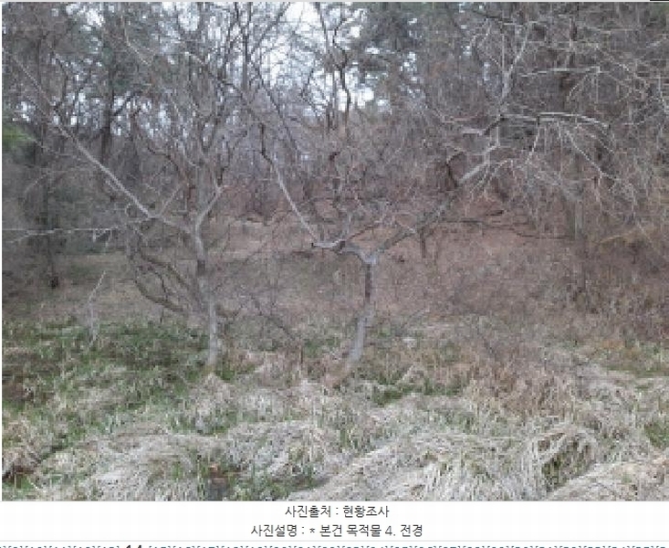 2025타경41005 경기도 평택시 현덕면 기산리 산37-1 임야 경매 이미지