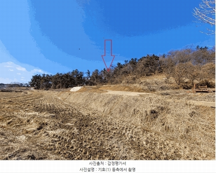 2025타경41005 경기도 평택시 현덕면 기산리 산37-1 임야 경매 이미지