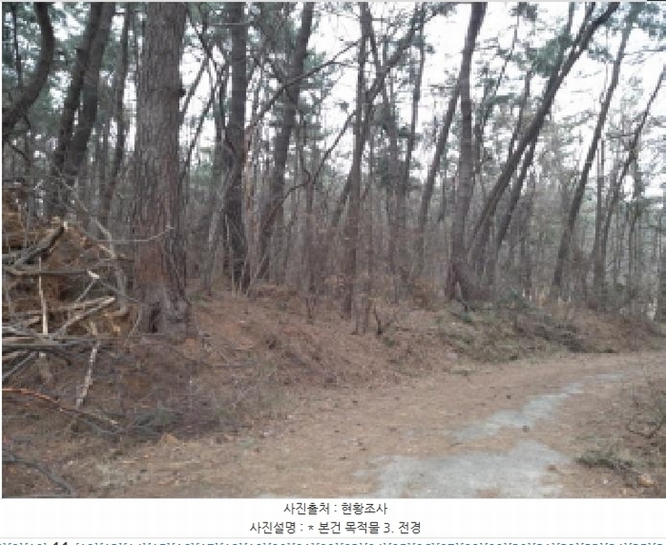 2025타경41005 경기도 평택시 현덕면 기산리 산37-1 임야 경매 이미지