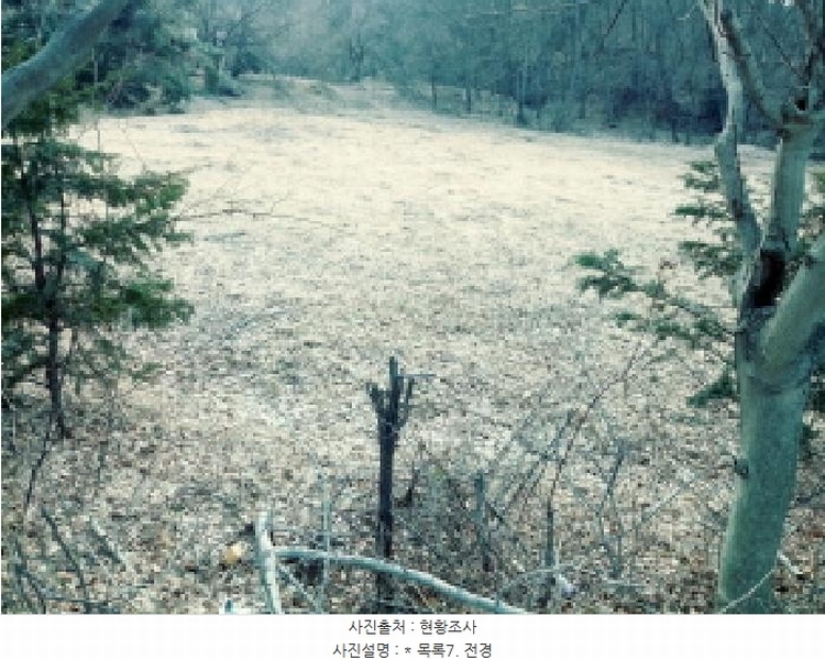 2025타경41328 경기도 안성시 고삼면 가유리 101 농지 경매 이미지