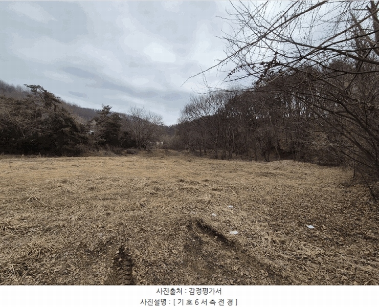 2025타경41328 경기도 안성시 고삼면 가유리 101 농지 경매 이미지