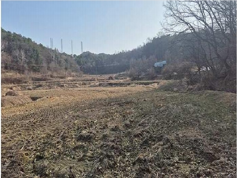 2025타경11335 충청남도 천안시 동남구 목천읍 신계리 93-2 농지 경매 이미지