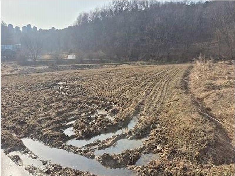 2025타경11335 충청남도 천안시 동남구 목천읍 신계리 93-2 농지 경매 이미지