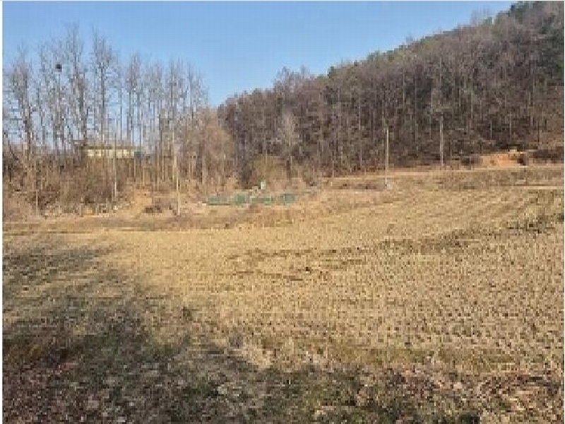2025타경11335 충청남도 천안시 동남구 목천읍 신계리 93-2 농지 경매 이미지