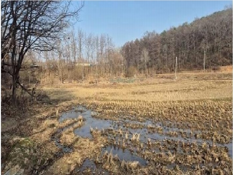 2025타경11335 충청남도 천안시 동남구 목천읍 신계리 93-2 농지 경매 이미지