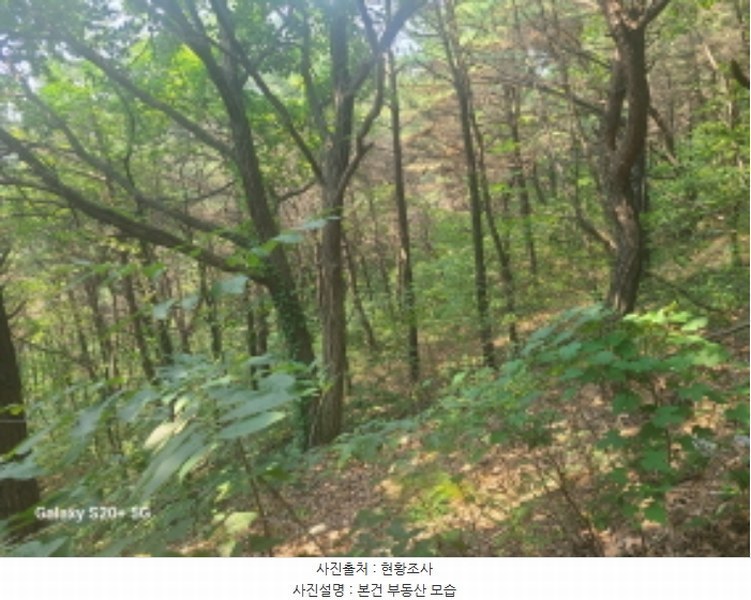 2024타경61151 경기도 시흥시 거모동 산91-2 임야 경매 이미지