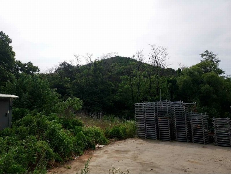 2024타경61151 경기도 시흥시 거모동 산91-2 임야 경매 이미지