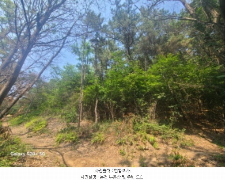 2024타경61151 경기도 시흥시 거모동 산91-2 임야 경매 이미지