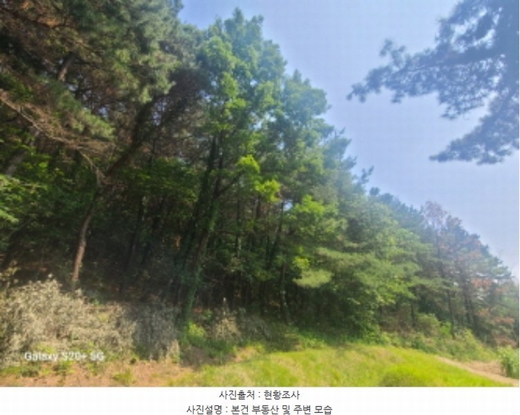 2024타경61151 경기도 시흥시 거모동 산91-2 임야 경매 이미지