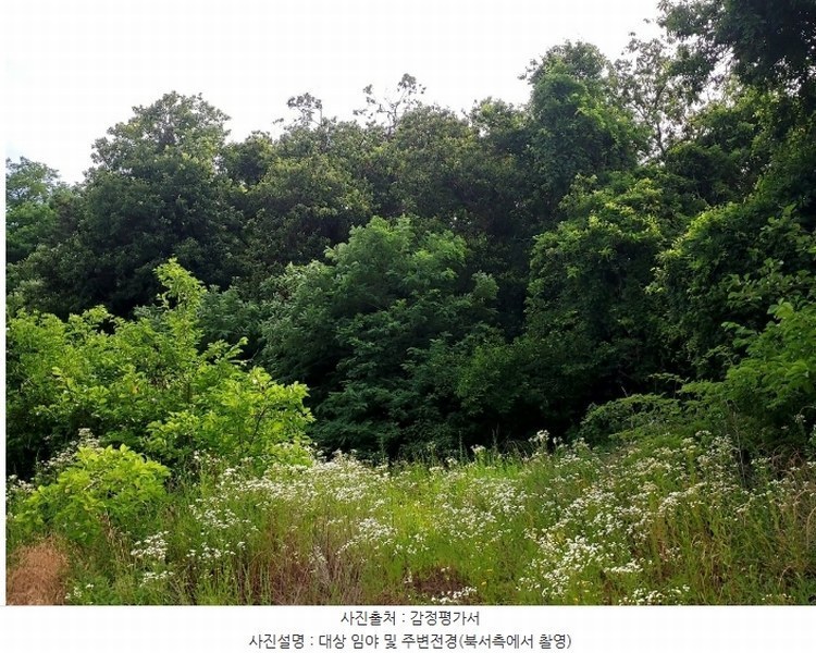 2024타경61151 경기도 시흥시 거모동 산91-2 임야 경매 이미지