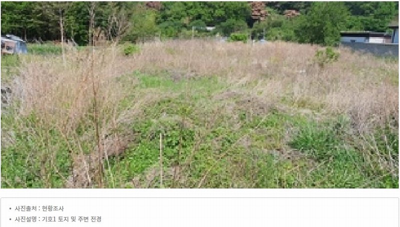 2025타경440 경상남도 김해시 한림면 신천리 672-1 농지 경매 이미지