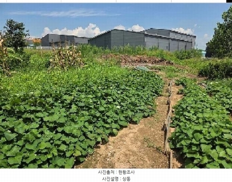 2025타경11880 충청남도 천안시 서북구 성환읍 율금리 500 과수원 경매 이미지