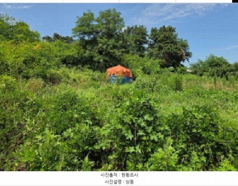 2025타경11880 충청남도 천안시 서북구 성환읍 율금리 500 과수원 경매 이미지